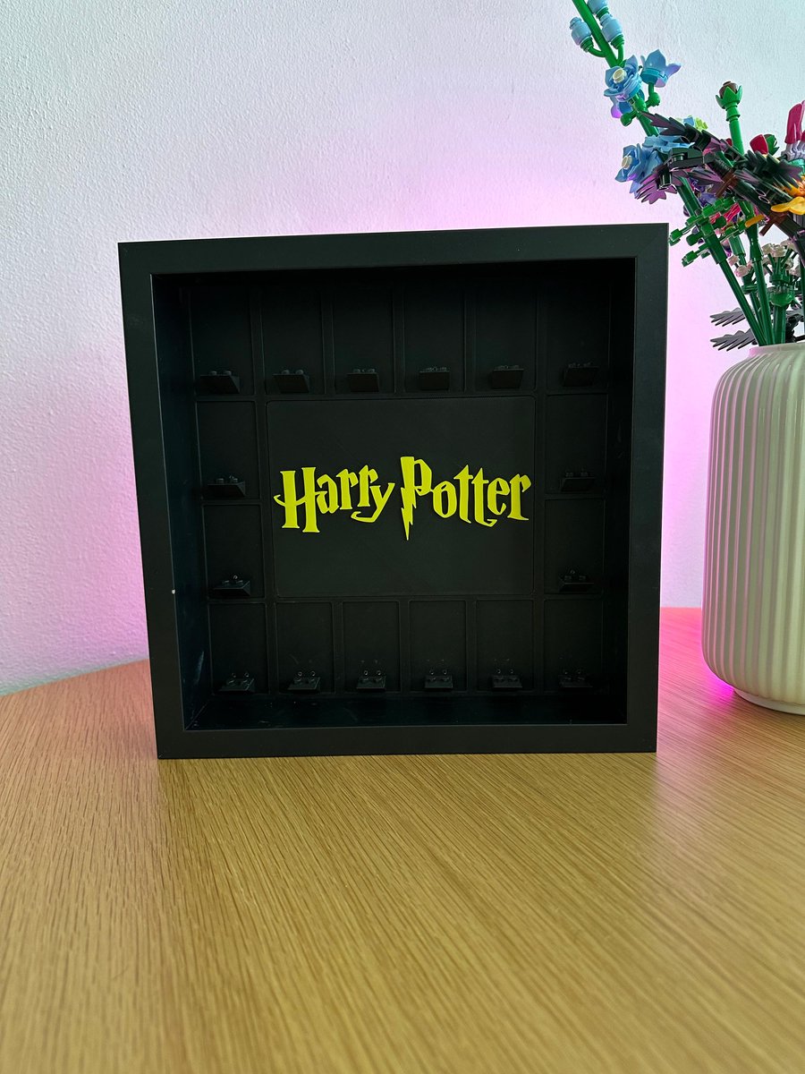 LEGO Minifigure Display Case — Harry Potter