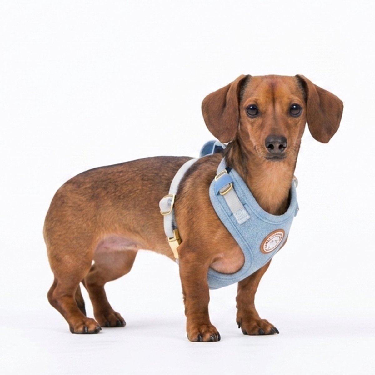 Hondentuigje - Hondenharnas - Y Tuig Hond - Blauw - Denim - Maat L - Grote hond - The Dog Farm