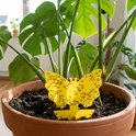 Gele vlinder-vormige vangplakker vol met kleine zwarte vliegjes, in een grote terracotta pot.