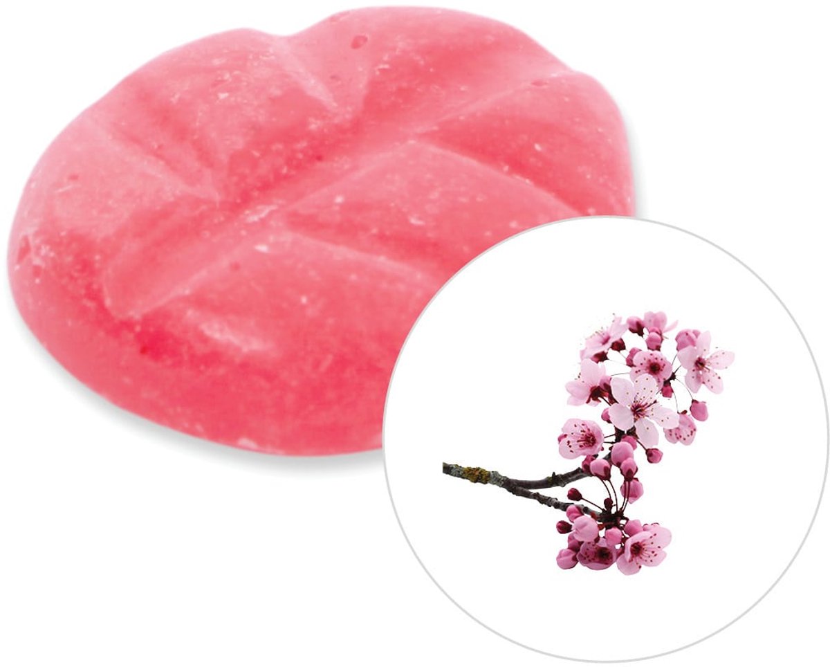 Scentchips® Bloesem - Geurblokjes - Huisparfum - Geurchips - Waxmelts - Geschikt voor Geurbrander en Waxbrander - XL - 38 Stuks