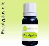 10 ml