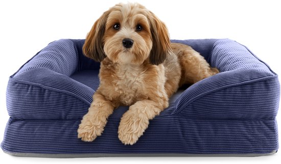 Chien brun clair couché dans un lit pour chien en velours côtelé bleu foncé avec un rebord surélevé.