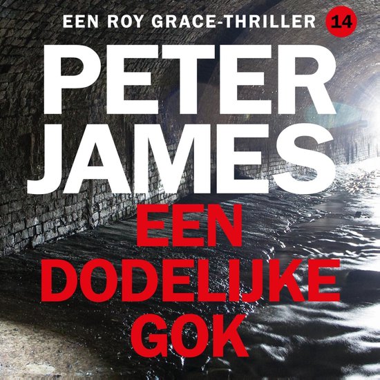 Een dodelijke gok - cover