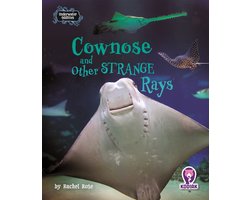 Underwater Oddities- Cownose and Other Strange Rays