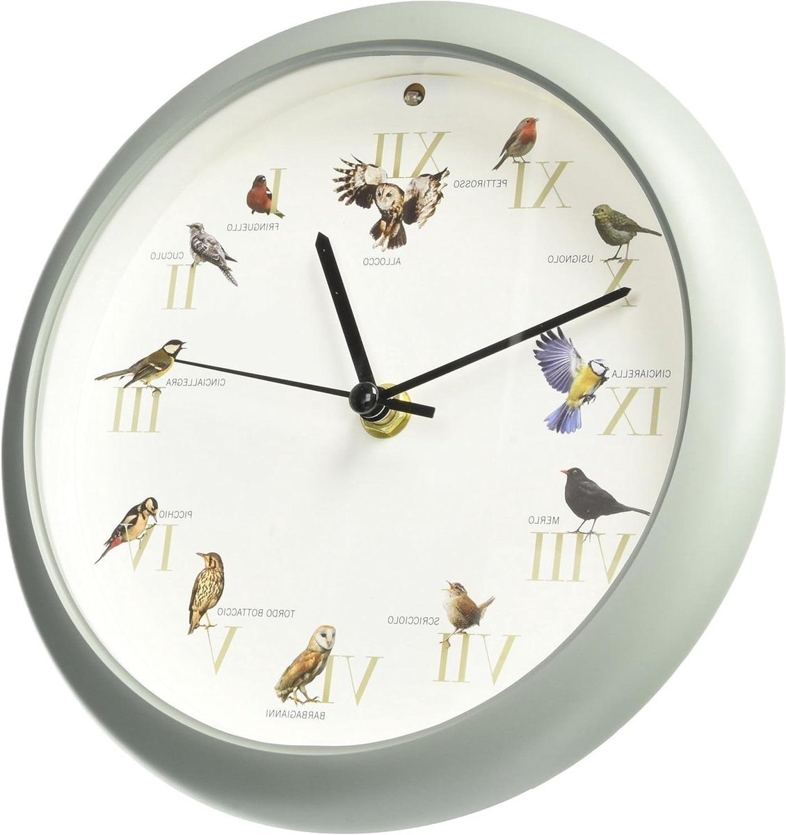 Wandklok met vogels - Natuurklok - Tijd bijhouden - Nacht sensor - 20 cm diameter - Groen