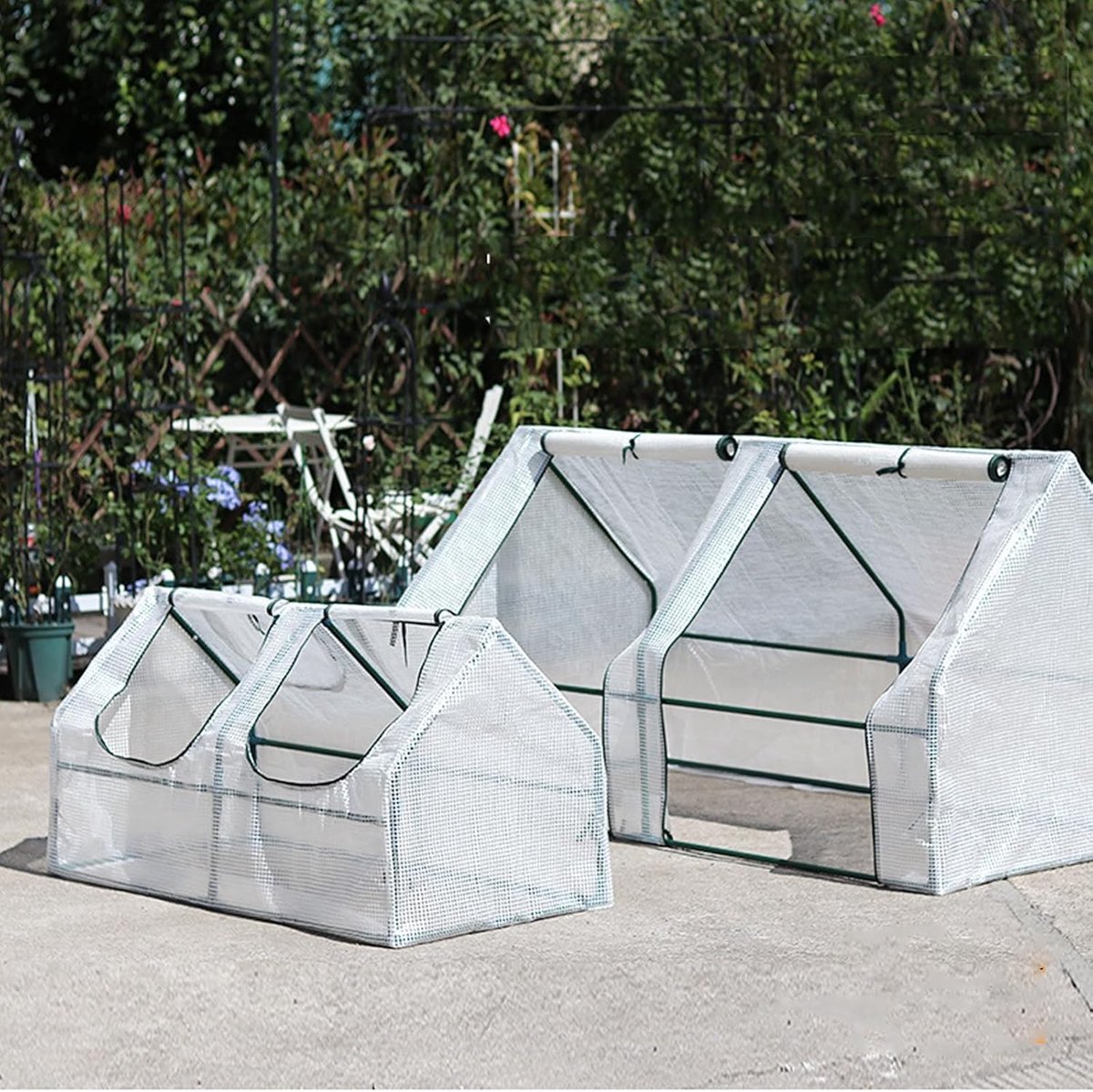 Kweekkas Buiten - Plantenserre Tuin - Optimale Plantengroei - Rolluikdeur Ontwerp - 120x60x60cm - Transparant – foto 4