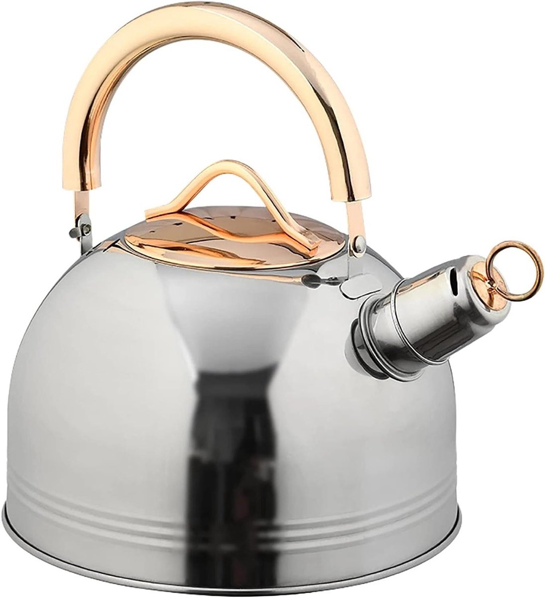 Fluitketel - Waterkoker - Koffie en Thee - Met fluitfunctie - 3 Liter - Zilver