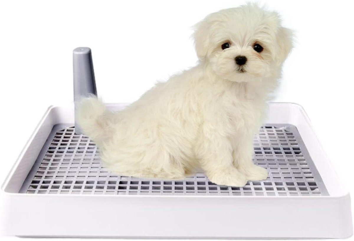 Honden Toilet - Puppy Potty - Zindelijkheidstraining - Spatwaterdicht Ontwerp - 38.8 x 31 cm - Grijs