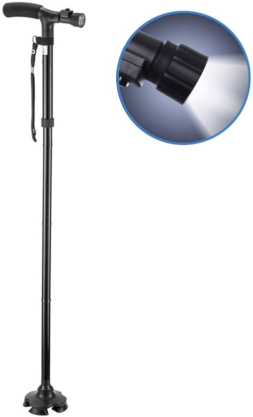 Safe Age Wandelstok