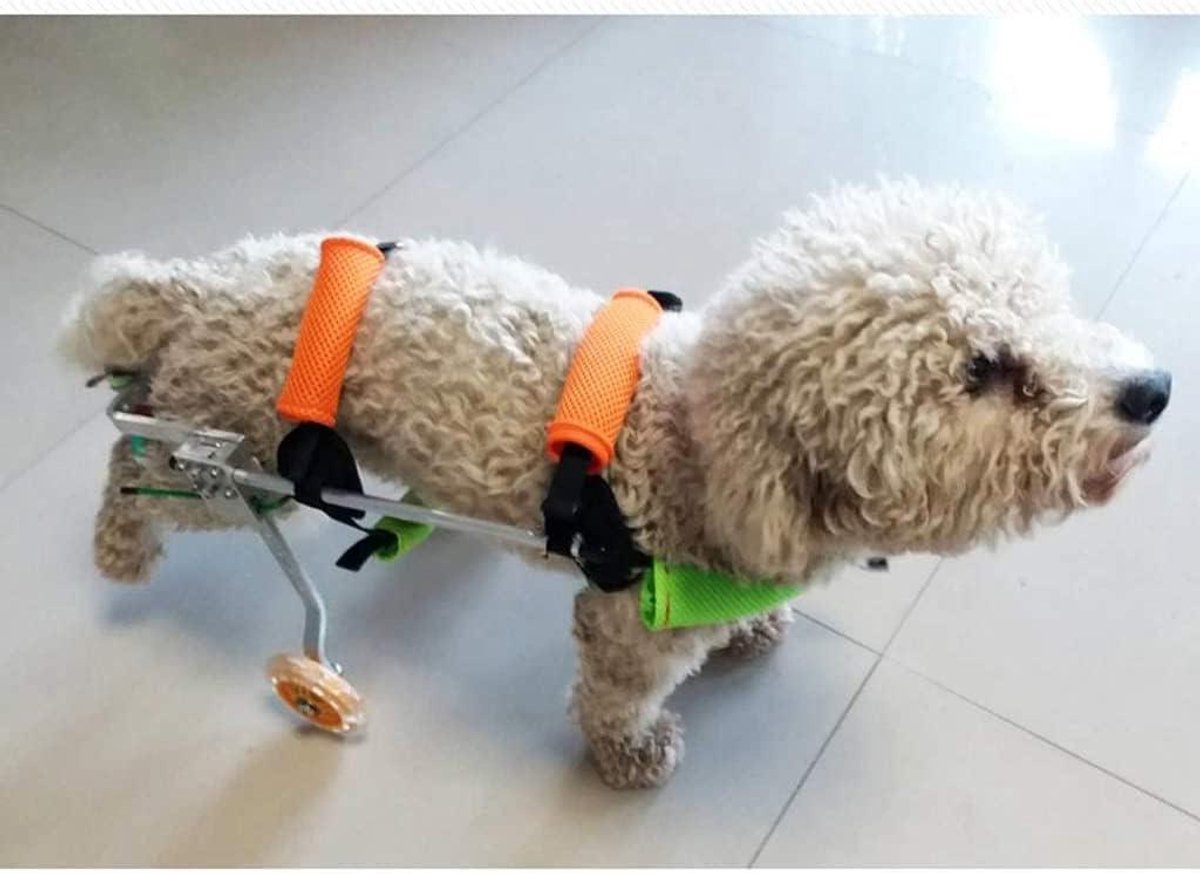 Honden Rolstoel - Hulpstuk Achterpoten - Hond Bewegen - Verstelbaar Frame - Diverse Maten - Zilver