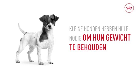 Royal Canin Mini Adult 8+ - Hondenvoer - 2kg - Oudere hond kleine rassen