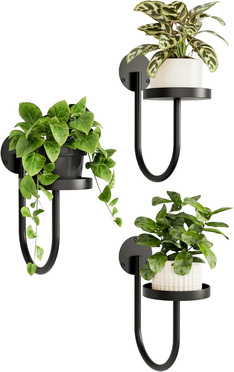 Famanu – Wandplantenbak set van 3 stuks, hangende plantenrekjes voor binnenplanten, zwart wanddecoratie voor raam en muur