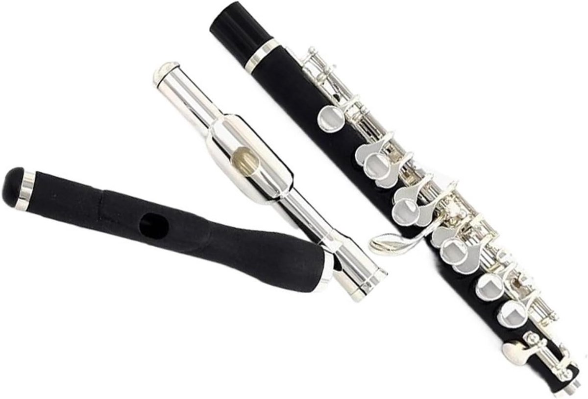Piccolo Fluit - Beginnersfluit C Toets - Muziek Maken - Verzilverd Oppervlak - 40.64 cm - Zilver