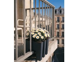 Vercony - Plantenbak voor Balkon met Spijlen - Plantenbak voor Buiten - Binnen en Buitenkant Beplant - Recyclebaar - 30x34x30cm - Made in NL - Antraciet