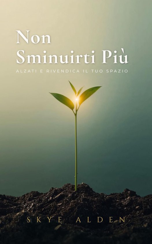 Non Sminuirti Più - cover