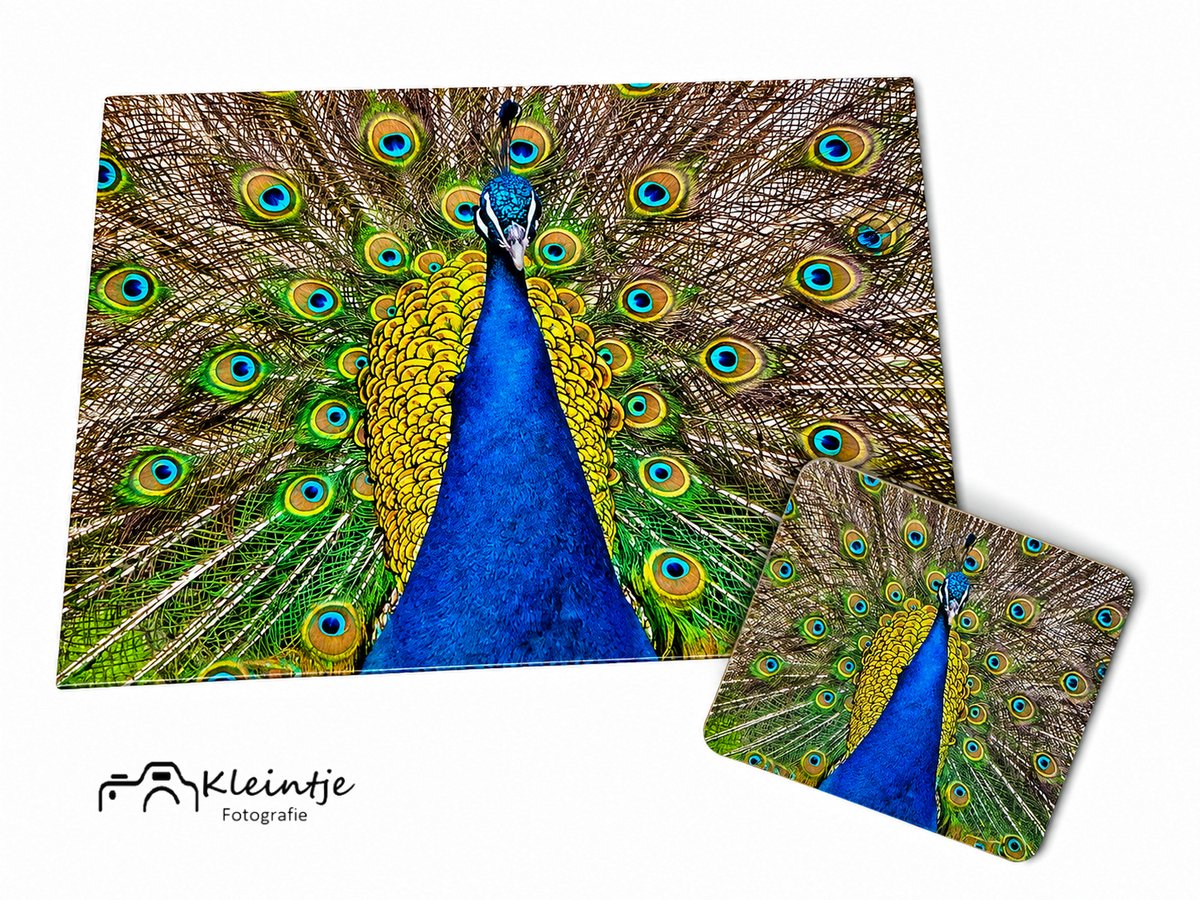 Kleintje fotografie Pauw wenskaart & magneet – Kleurrijke verenpracht