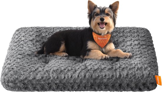 Yorkshire Terriër met oranje bandana op een donkergrijs pluche hondenbed met geborduurde bloemmotieven.