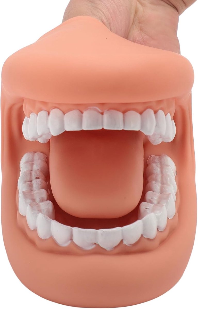 Mondpop 28 Tanden - Handpop Mondmodel - Poetsen Leren - Flexibel Siliconen - 30x20x8 cm