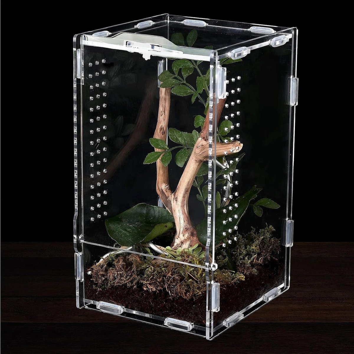 Terrarium Box voor Insecten en Spinnen, Voedingsbox met Pincet, Acryl, 12 x 12 x 20 cm, Ideaal voor Reptielen en Huisdieren zoals Slangen en Slakken