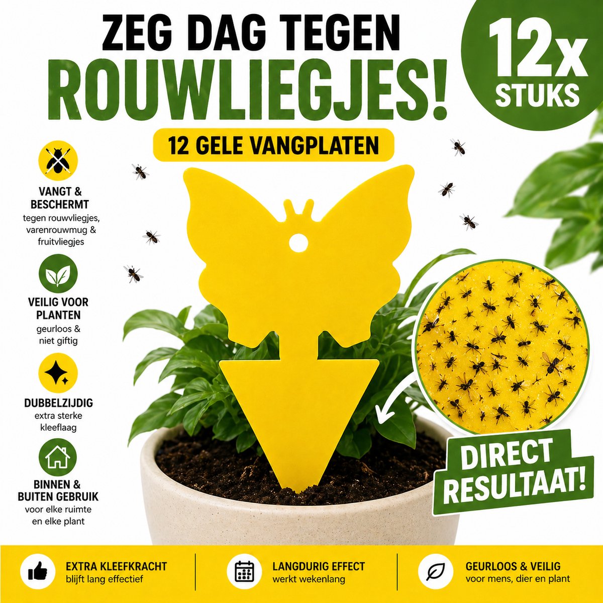 Rouwvliegjes Bestrijden - Fruitvliegjes Vanger - Varenrouwmug Bestrijden - Vliegenvanger - Insectenval - Insectenvanger - 12 stuks