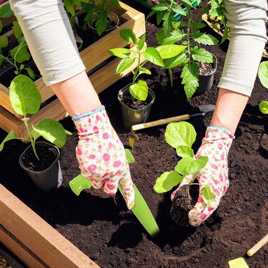 12 stuks - Handmatige zaaimachine - Bollenplanter - Zaaddispenser - Kunststof plantgereedschap - Gatenboor voor de tuin - Inclusief 10 etiketten - Plantgereedschap voor het planten van zaden en bollen, een must-have voor tuinliefhebbers - Groen — afbeelding 4