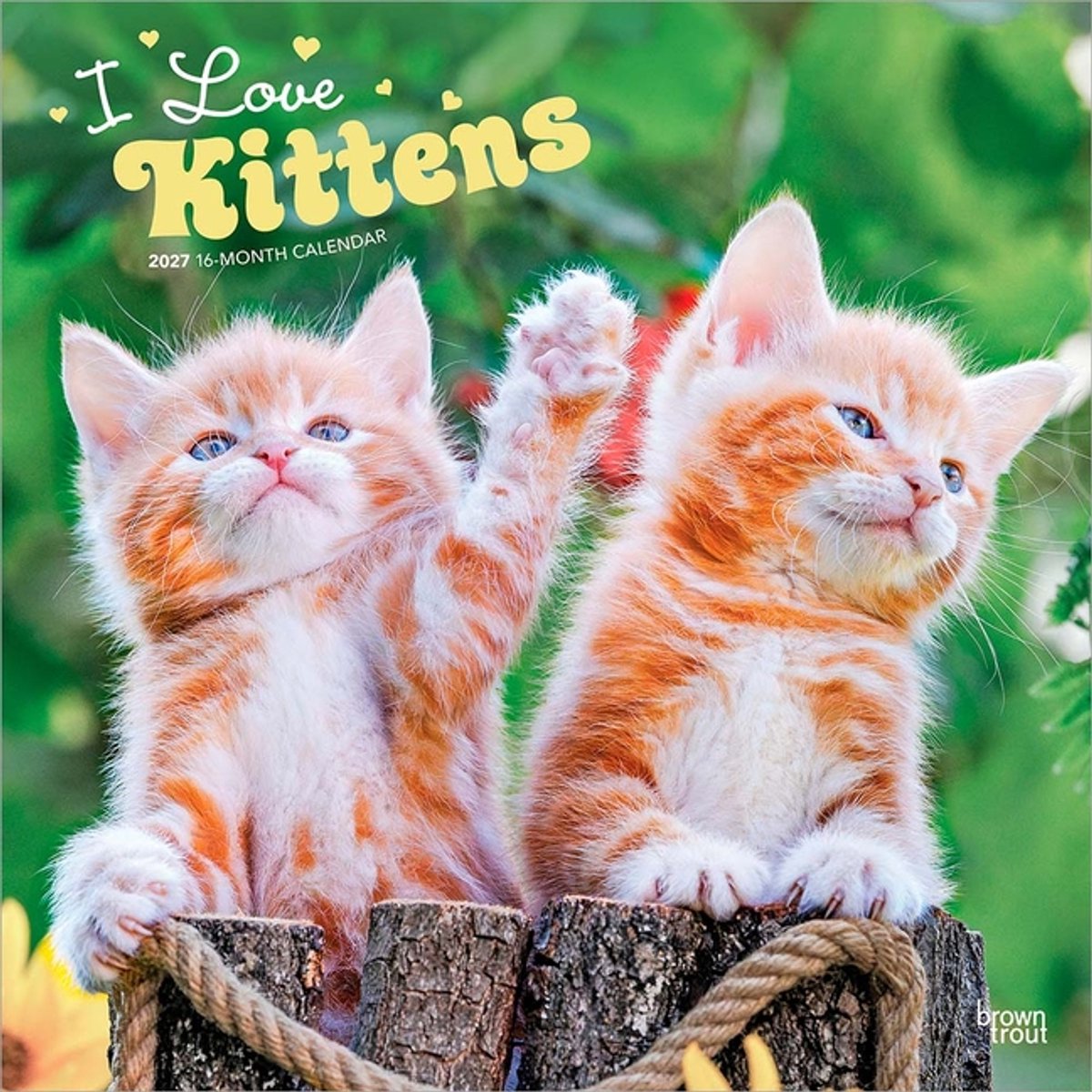 Kittens Kalender 2027