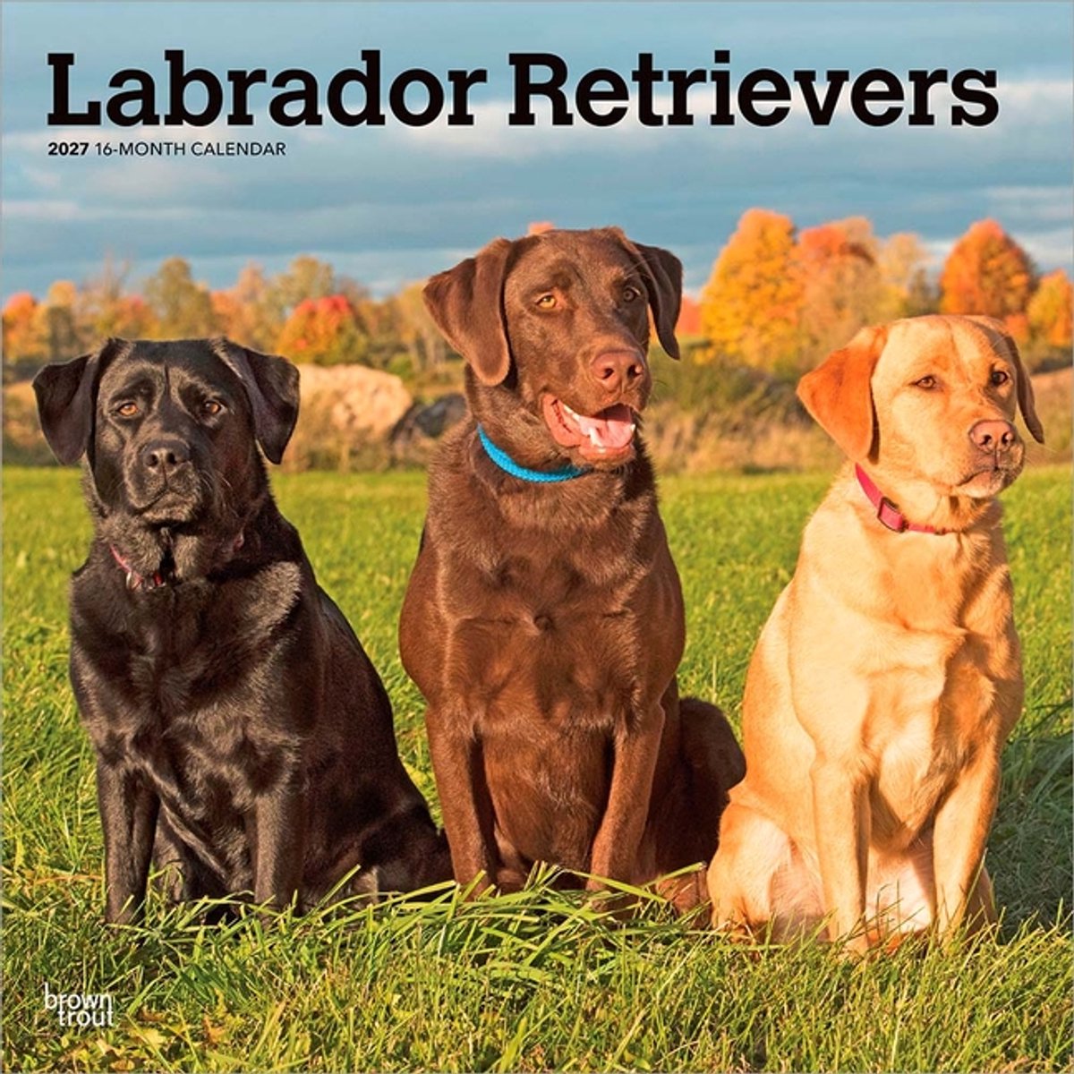 Labrador Retriever Mixed Kalender 2027