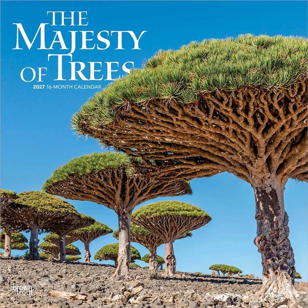 The Majesty of Trees Kalender 2027