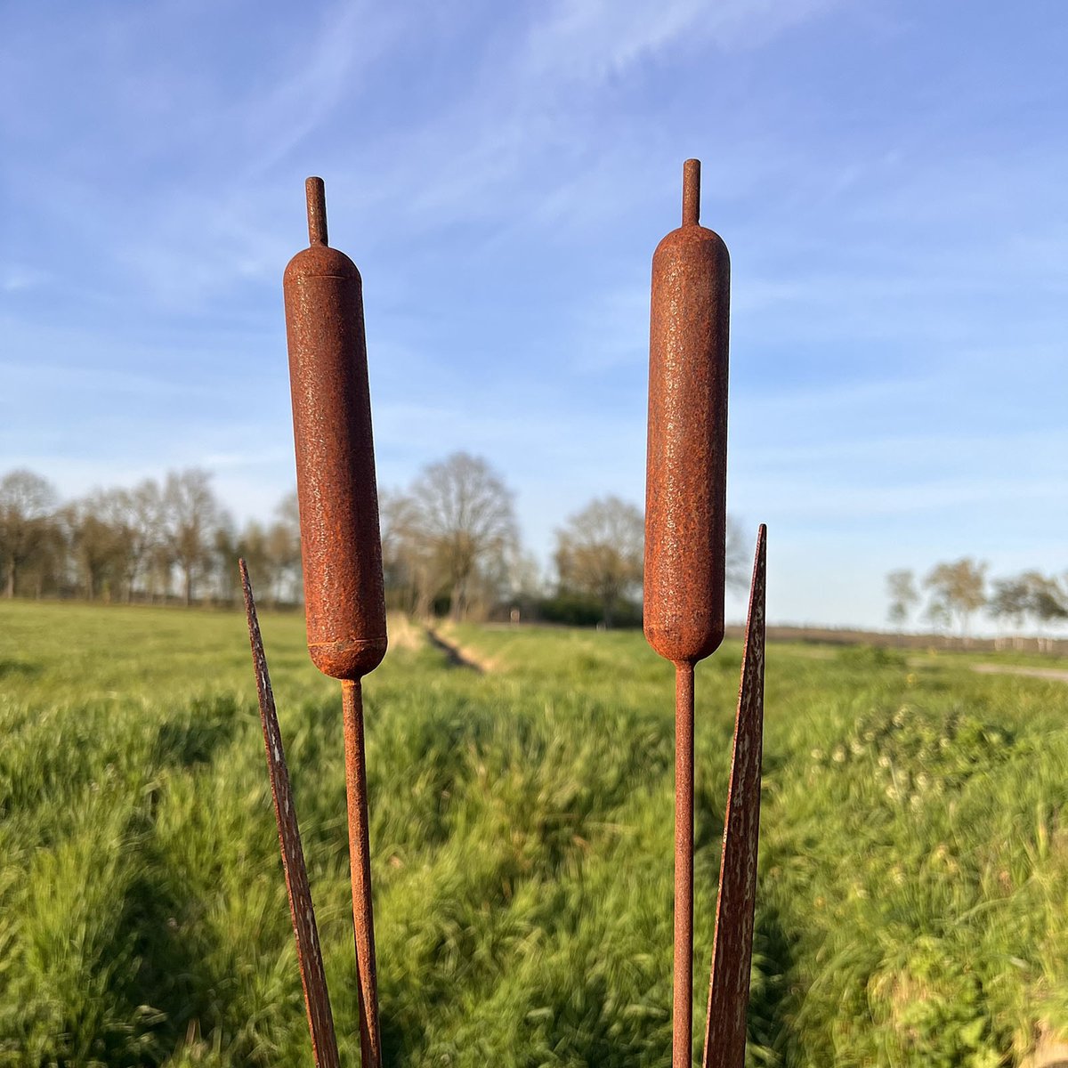 Diron - Set van 2 tuinstekers - Lisdodde - tuindecoratie - metaal roest patina - 95 cm lang.