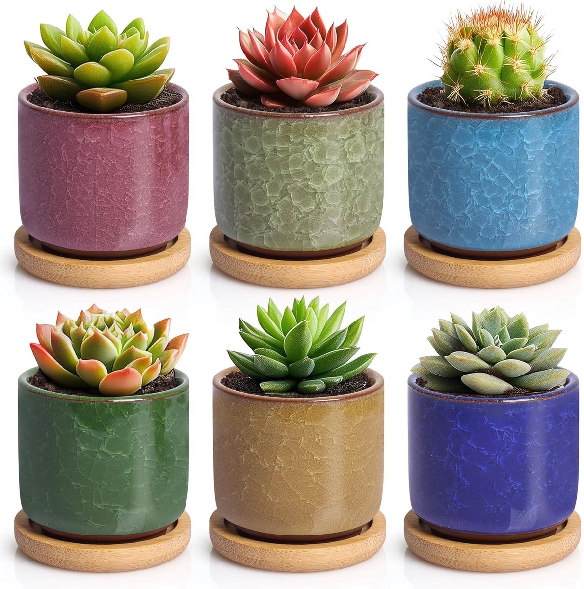 T4U Set van 6 Succulent Plantenpotten | Ronde Keramische Bloempotten met Bamboe Onderzetter | XS | Voor Vetplanten, Cactus en Kleine Kamerplanten