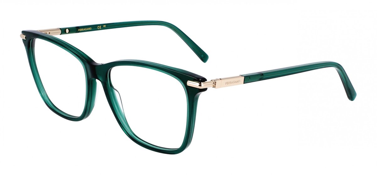 Ferragamo SF3013 Transparent green 53/15/140 WOMAN Brilmonturen