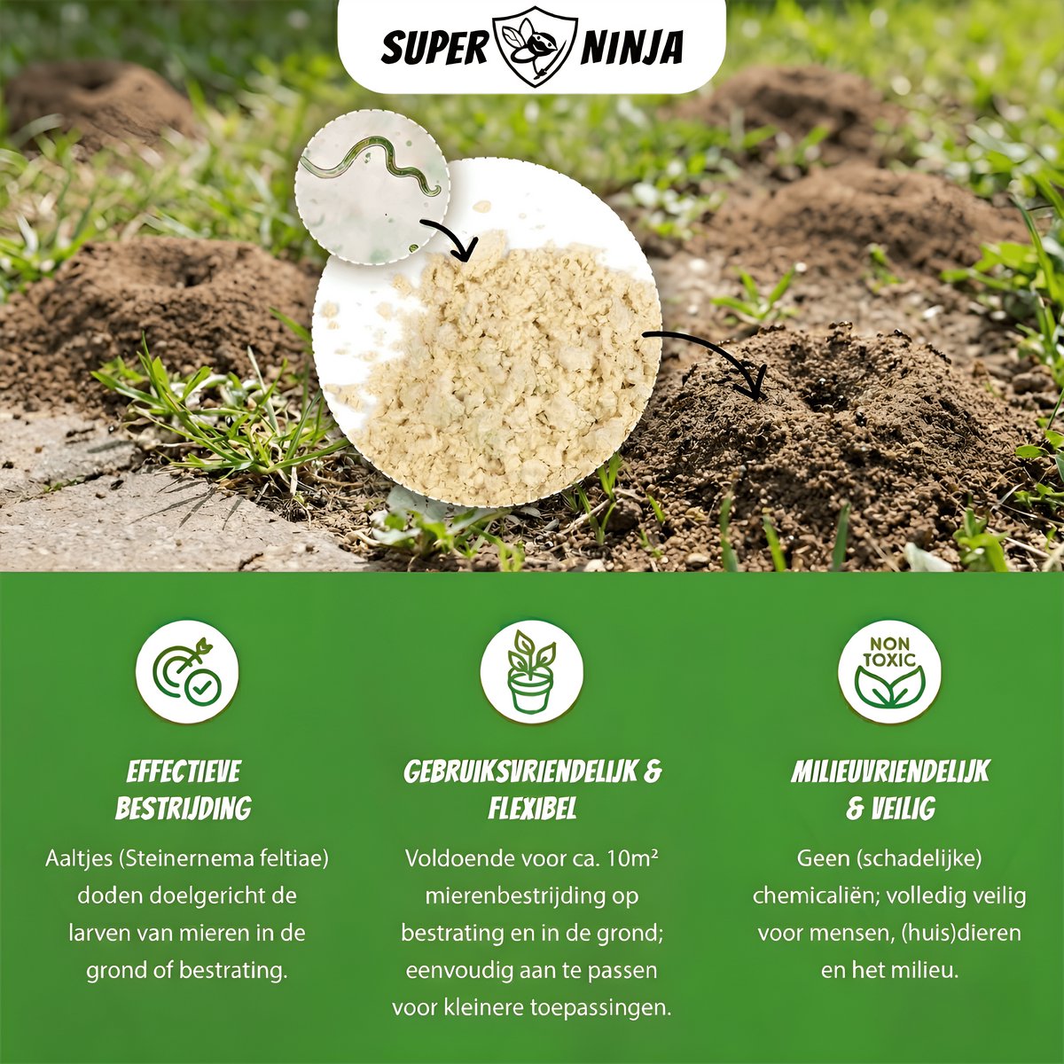 Biologische mierenbestrijding met 10 miljoen Steinernema feltiae aaltjes – veilig voor tuin, gazon, terras (25m²) - Afbeelding 5