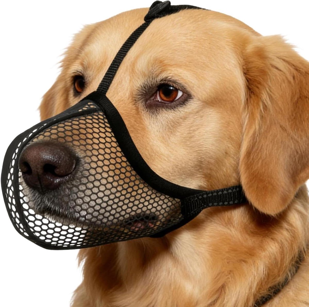 Mesh Hondenmuilkorf - Ademend Zacht - Veilig Wandelen - Reflecterende Strepen - Maat S - Zwart