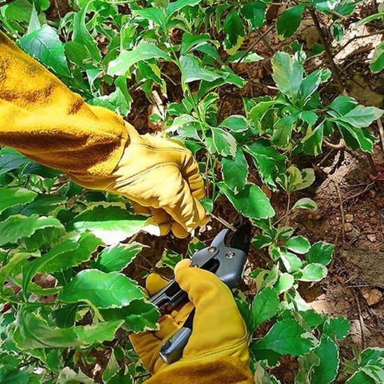 1 paar tuinhandschoenen - Snijbestendige handschoenen - Snijbestendig materiaal - Geschikt voor het snoeien van rozen/bramen - Lange onderarmbescherming - Snij- en prikbestendige lange leren tuinhandschoenen - Unisex - Geel - Maat L — afbeelding 3