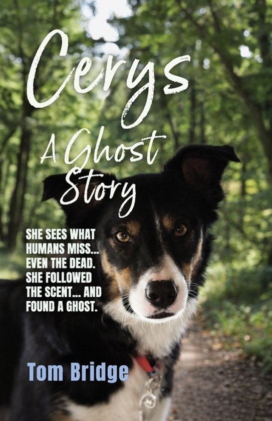 Cerys, A Ghost Story - cover