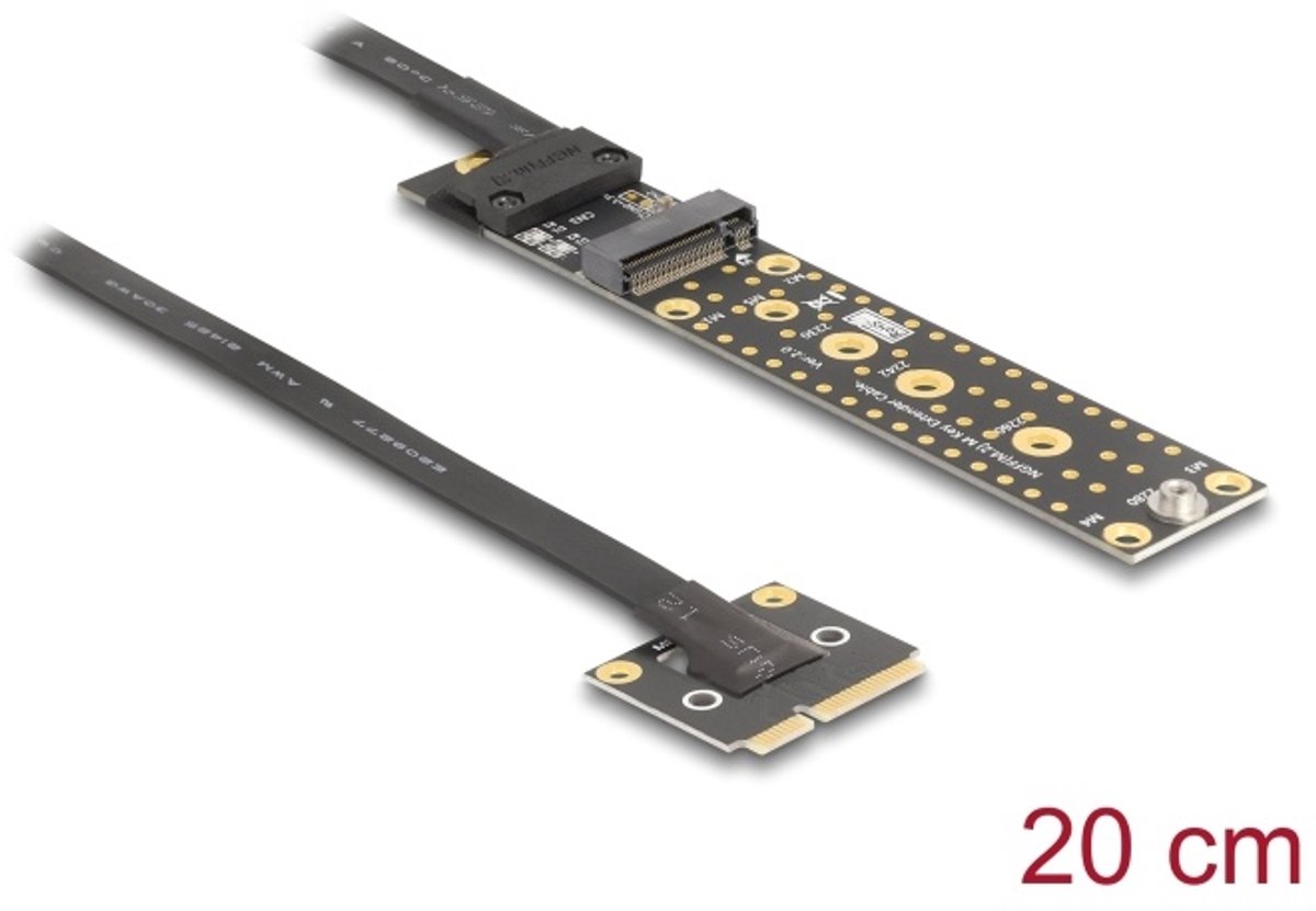Delock Adapter Mini PCIe male to M.2 Key M female with cable 20 cm