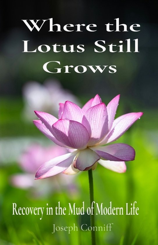 Where the Lotus Still Grows - cover