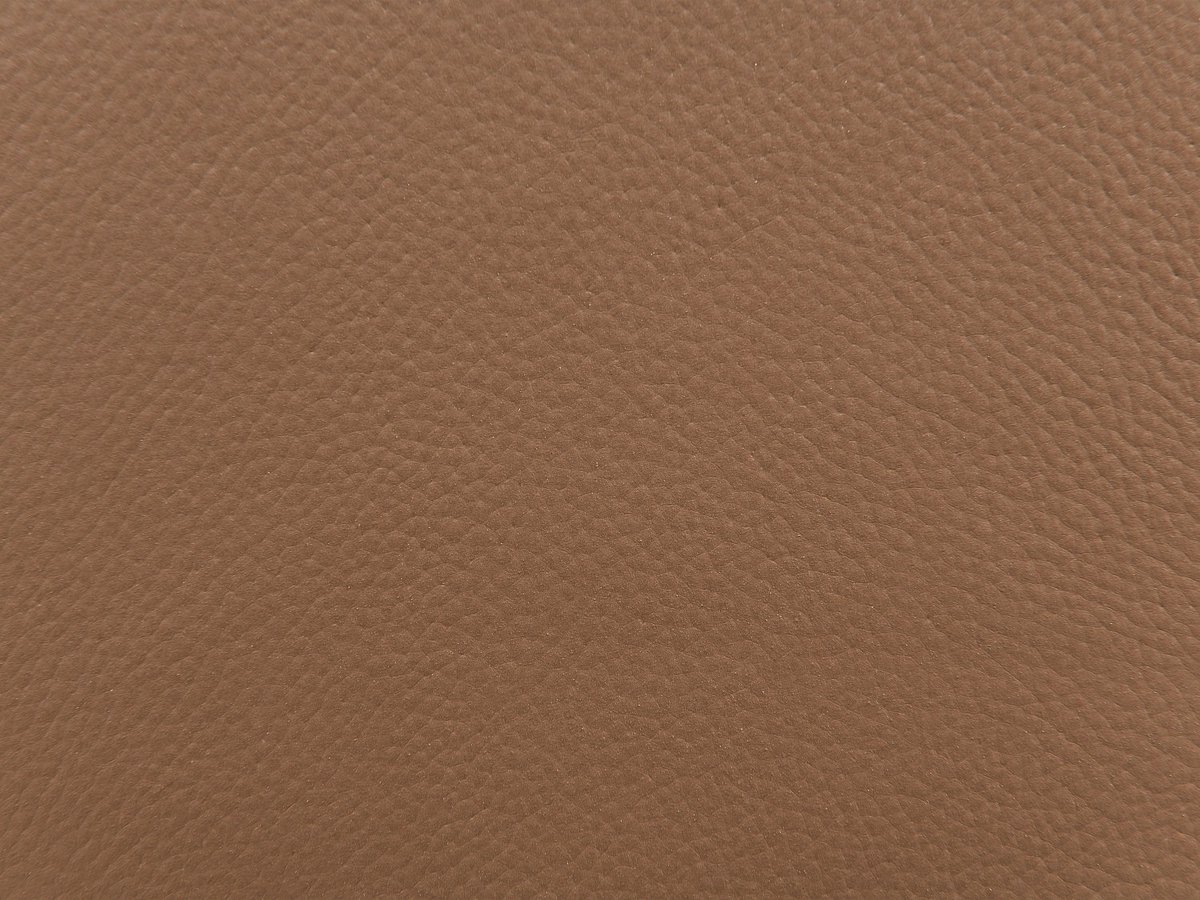 Vente-unique Fauteuil in camelkleurig leer DUGORI