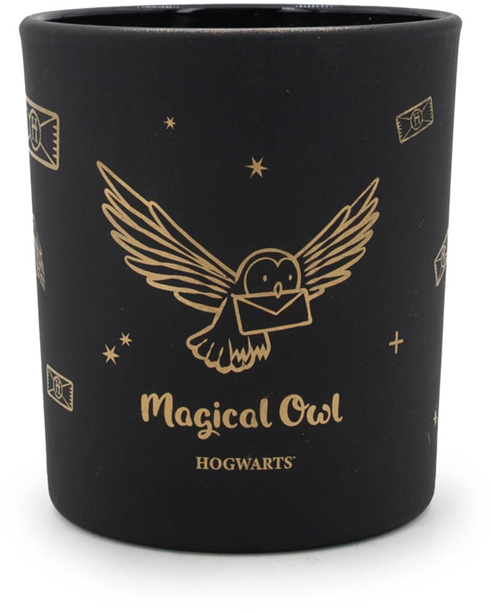 Harry Potter Geurkaars - magische uil - zwart - met geur