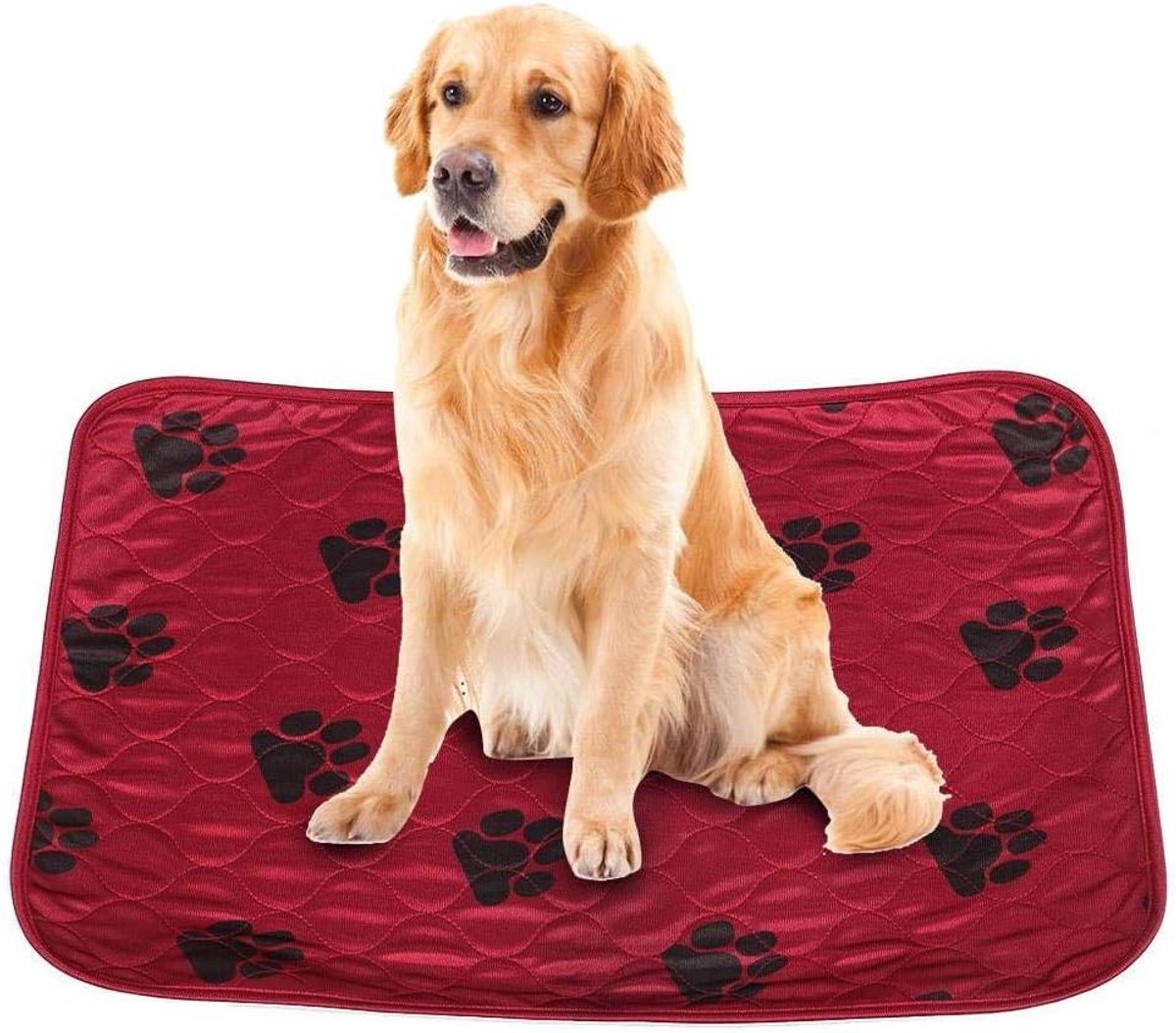 Wasbare plaspads hond - Herbruikbare trainingsmat - Zindelijkheidstraining - Waterdicht en absorberend - 40 x 60 cm - Rood