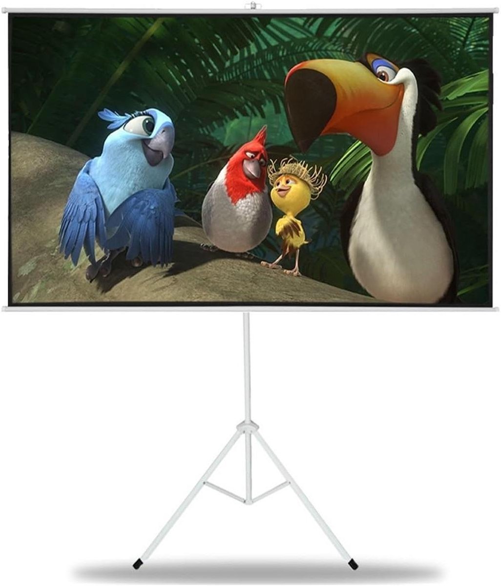 Projectiescherm - Filmscherm Gordijn - Thuisbioscoop Creëren - Draagbaar Met Standaard - 150 Inch 16:9 - Wit