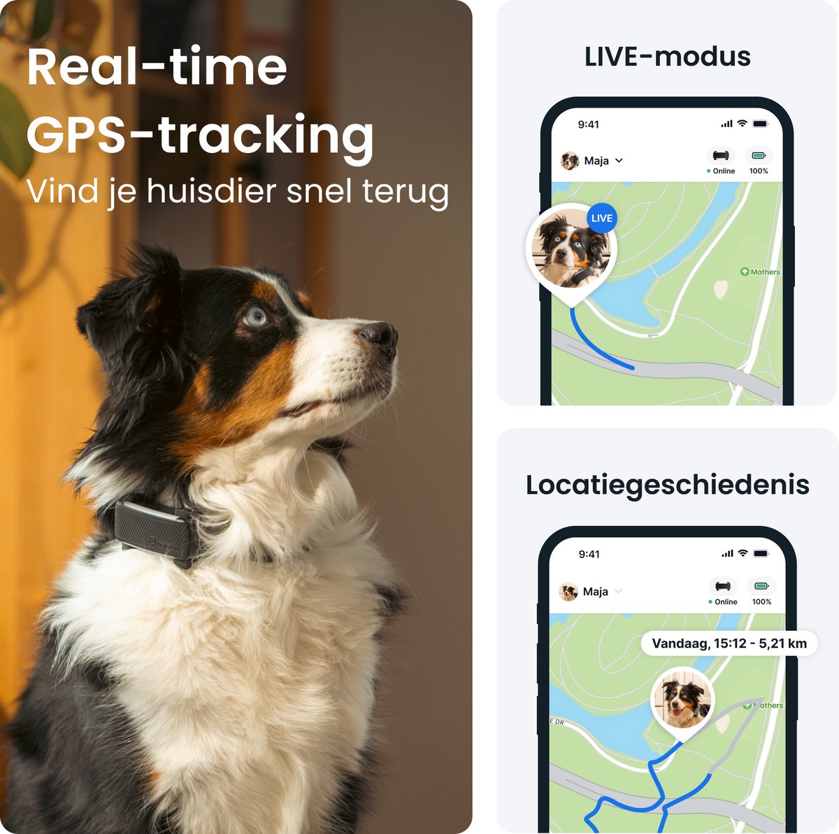 Tractive DOG 6 - Honden GPS met Gezondheid & Activity Functies thumbnail 5