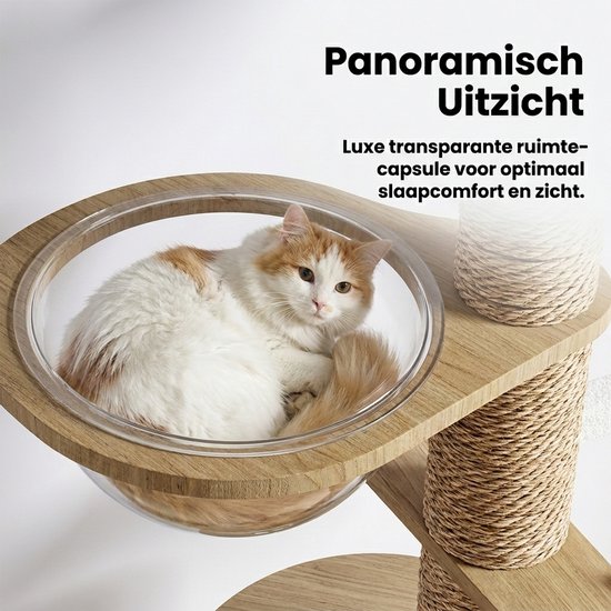 Een kat ligt in een transparante capsule op een houten krabpaal.