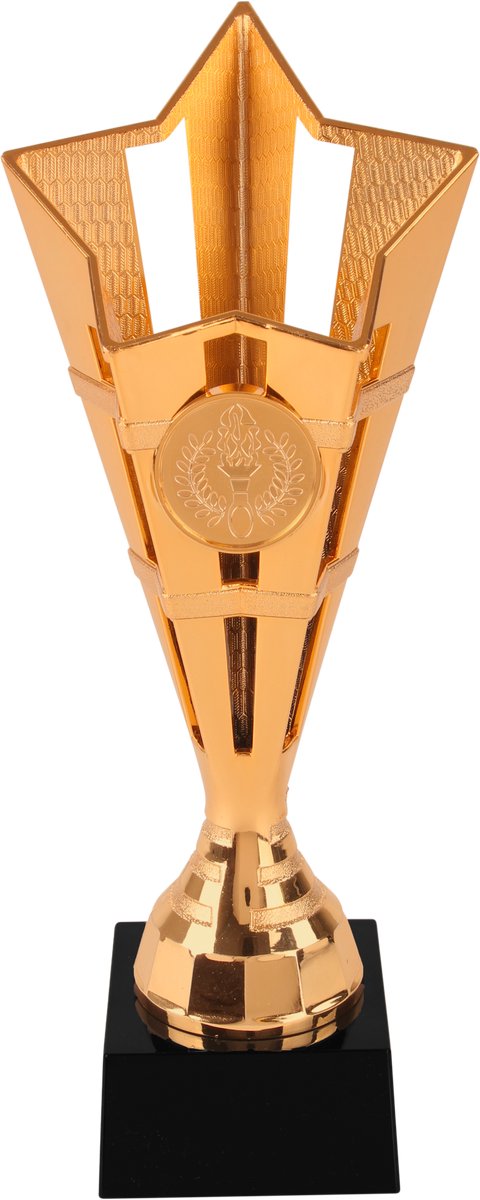 Sporttiek - Trofee - Brons - Derde prijs - Sportprijs - 20.5 cm Hoog