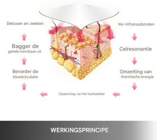 Helpt een sauna bij het verliezen van buikvet? De ultieme gids voor sauna's en gewichtsverlies Helpt een sauna bij het verliezen van buikvet? De ultieme gids voor sauna's en gewichtsverlies