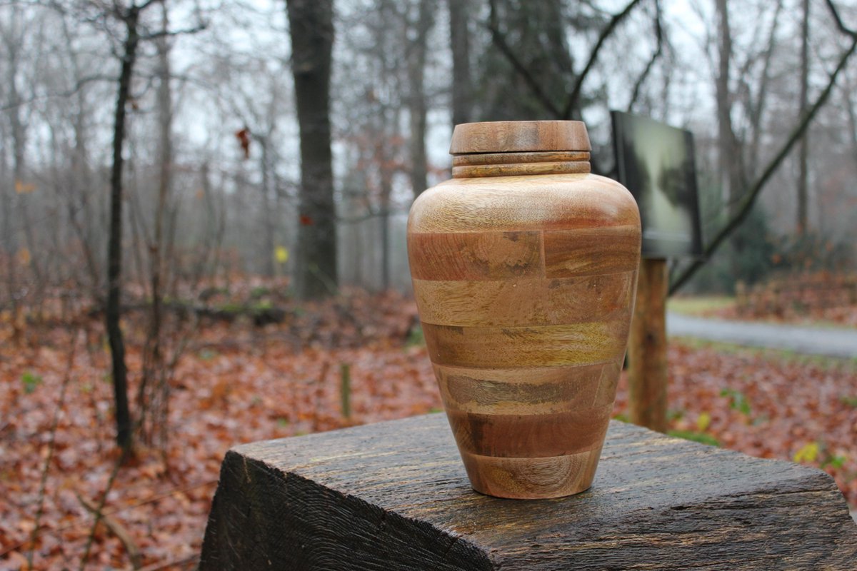 Mangohouten urn de Lyzing-4