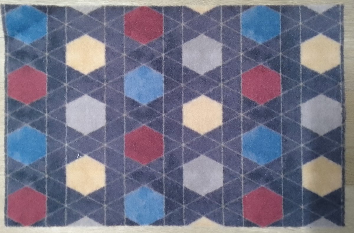 FOTAPIJT - Badmat - Bedrukte deurmat - Binnen - Termo Antislip - 40x60 cm - 6mm - Wasbaar - Polyamide