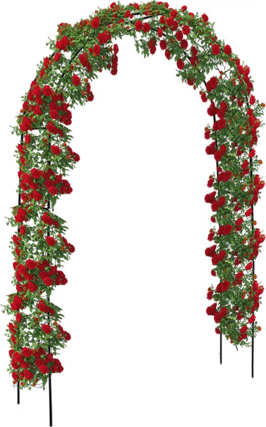 Brixy rozenboog – metaal – 240 x 140 x 38 cm – zwart