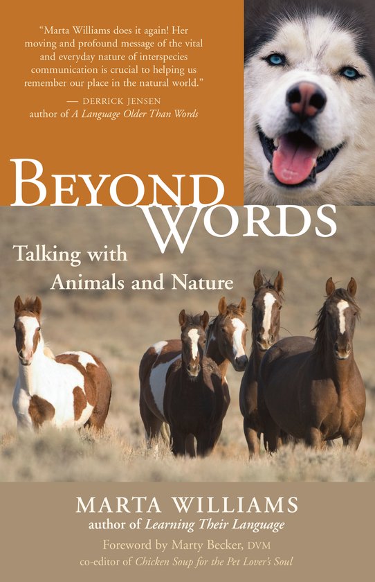 Beyond Words - cover