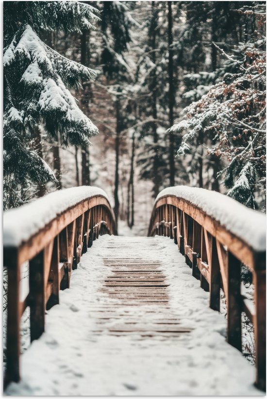 Poster 60x90 cm - Brug - Winterlandschap - Bos - Natuur - Sneeuw - Posters - Kamer decoratie - Wanddecoratie woonkamer - Muurdecoratie slaapkamer